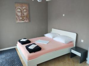 Holiday house with a swimming pool Grizane, Crikvenica - 22443