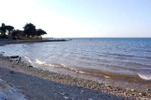 Apartments with a parking space Dajla, Novigrad - 22735 