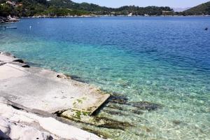 Seaside apartments with a swimming pool Sobra, Mljet - 22926