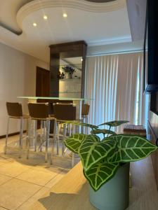 Apartamento confortável próximo Vila Germânica