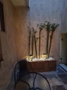 Hermosa casa en el centro de Zacatecas