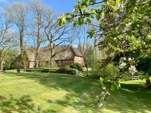 NordseeEstate Comfortable holiday residence - Katharinenheerd