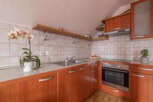 Vineyard Cottage Luštek - Happy Rentals