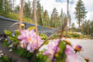 Arctic TreeHouse Hotel