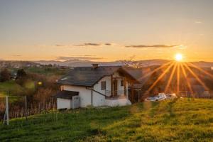 Vineyard Cottage Mayolka - Happy Rentals
