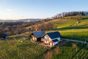 Vineyard Cottage Mayolka - Happy Rentals 