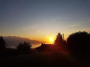 Au1807 - 沙泰勒圣但尼