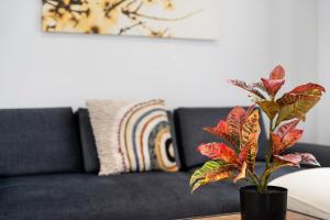 Apartamento Bellavista, Bajo A