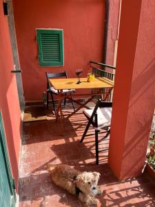 Le finestre sul mare