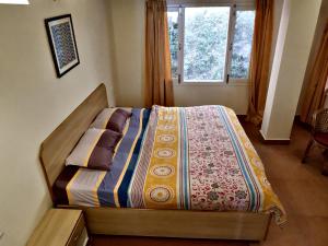 Beechwood Holiday Apartments