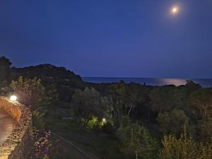 Villa Caldinelli img54