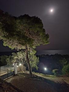 Villa Caldinelli img52