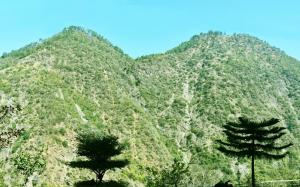 AR Resort Gauchar