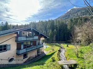 Haus Malerklause - Antenbichl