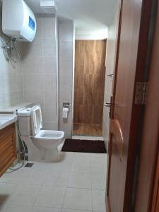 Sabra Palmvillage mikocheni