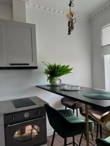 Centre MONKEY Apartment