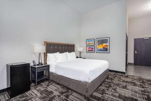 King Room with Roll-In Shower - Mobility Access/Non-Smoking room in La Quinta Inn & Suites by Wyndham South Bend near Notre Dame