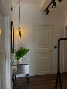 Centre MONKEY Apartment