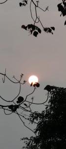 Clive Ten Resorts Athirapilly