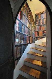 A Balcony on Notre Dame