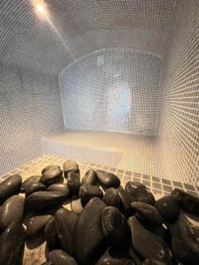 Appart'hotels Lagrange Aparthotel Montpellier Millenaire : photos des chambres
