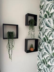 Appartement de Charles