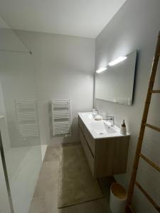 Appartements Charmant duplex avec parking : photos des chambres