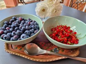 Foresteria Villa Simona