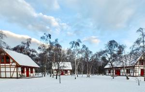 Awesome Home In Rowy With Wifi