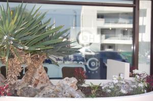 CENTRO HOTEL - Venice Airport