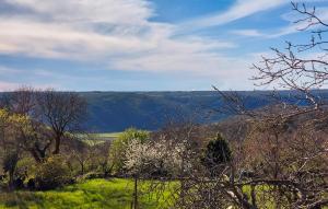 Amazing Home In Labin With Kitchen 