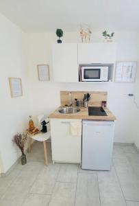 Appartements Le Jardin des Plantes Rouen Studios et F2 au calmes, Terrasse, stationnement gratuit : photos des chambres