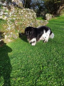 Hotels Ker Annick : photos des chambres