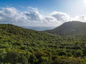 Maisons de vacances Maison vue Mer et Maquis : photos des chambres