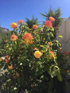 Finca Mi Casita