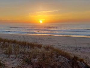 Villa familiale au Cap Ferret: face aux dunes, proche plage, grand jardin et terrasse, 10 pers - FR-1-736-8