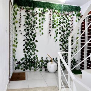 El rinconcito tropical