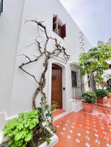 JP dream house 2bedroom apart Villacana