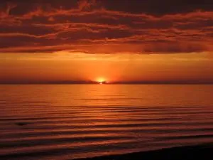 Woodland Cedars Family Cottage Resort - Tiny