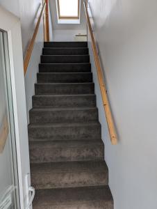 Burray Apartments - Tangles, Kelpie & Selkie