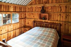 Mantis and Moon Surf Paradise & Adventure Lodge