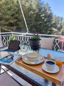 Igoumenitsa Retiré Apartment