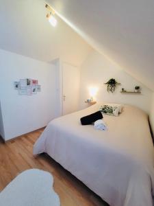 Appartements Le Jardin des Plantes Rouen Studios et F2 au calmes, Terrasse, stationnement gratuit : photos des chambres
