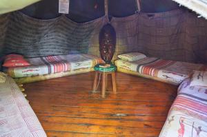 Mantis and Moon Surf Paradise & Adventure Lodge