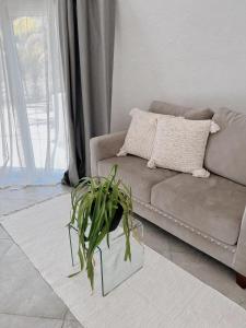 Playa privada con casa entera y palapa