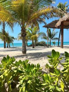 Playa privada con casa entera y palapa