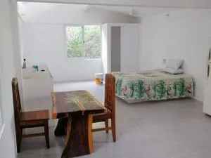 Loft Vista Mar en Puerto Ángel - 兹波利特