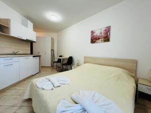 HORIZON 19 Б Studio Sveti Vlas