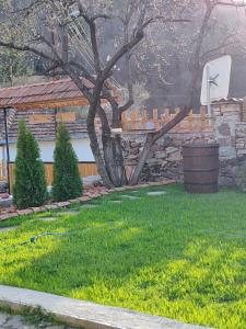 Vila Antić