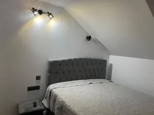 Apartament Mansarda Venus - Bujoreni